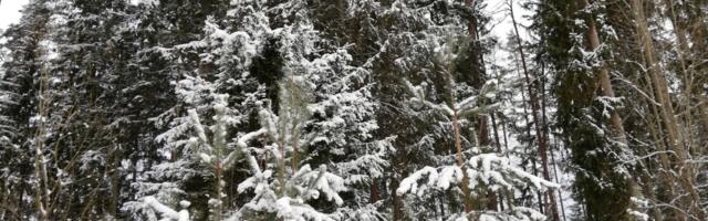 Soome keskkonnaorganisatsioonid kaebavad valitsuse nõrkade kliimameetmete pärast kohtusse