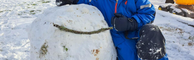 Hiidlaste lemmikuim  poisinimi on Eestis haruldane