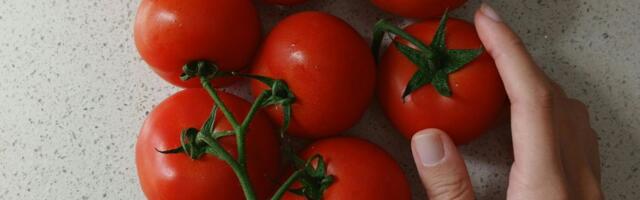 Paradajz buja kao nikad ako pored njega posadite ovaj cvet: Čuva od štetočina, plodovi su sočniji i otporniji