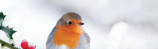 Loodusmuuseum teeb pai tervishoiutöötajatele