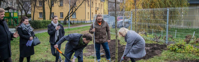 Kesklinna valitsus täidab kaasava eelarve võiduidee novembri jooksul – 15 asukohta istutatakse 108 puud