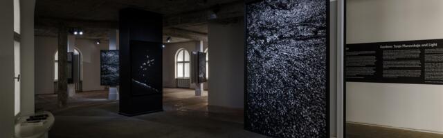 Millest on tehtud kustunud valgus?