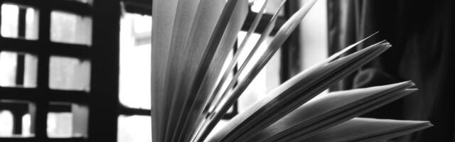 6 küsimust, mida endalt küsida, et oma infodieet tervislikumaks muuta