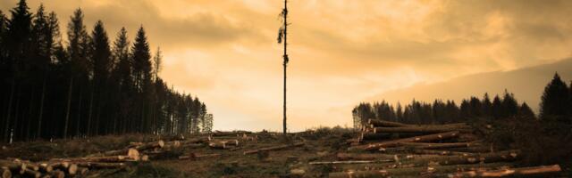 Põllumajandajad ja metsaomanikud nõuavad ministrilt looduse taastamise kava koostamise peatamist