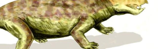 Teadlased selgitasid välja, kes on salapärane olend, keda kujutatakse Lõuna-Aafrika koopamaalingutel