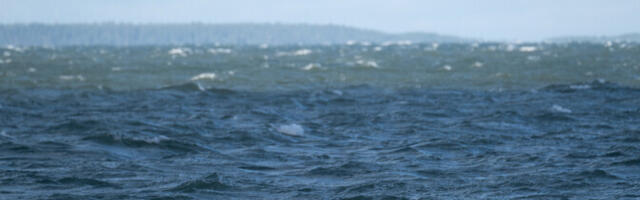 Судно пограничной охраны Финляндии направляется к месту повреждения морского кабеля