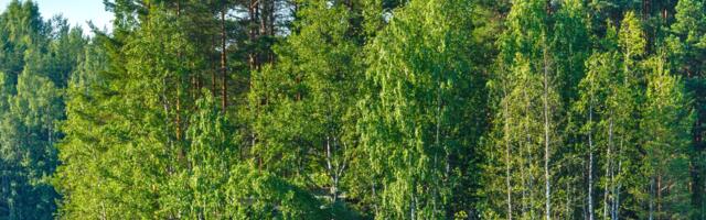 Päevahoroskoop : reede, 8. august