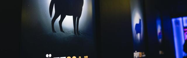 Pimedate Ööde filmifestival toob tänavu ekraanile 252 pikka ja 275 lühikest filmi koguni 79 riigist.