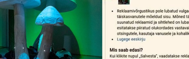 USA robottsensuuri pealetung jätkub: Google peab Eesti Rahva Muusemi muinasjutunäitust pornoks