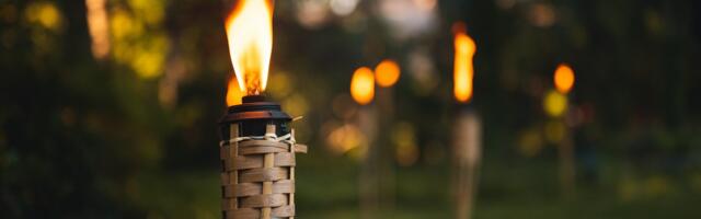 Viljandimaa vabadussamba avamine ning võidupüha tähistamine Viljandis