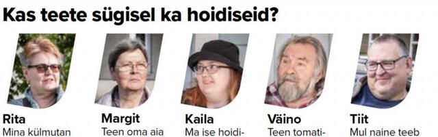 TÄNAVAKÜSITLUS | Kas teete sügisel ka hoidiseid? 