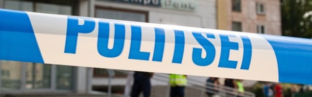 Kurjategija pettis galeriilt välja hinnalise maali