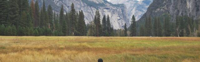 Liigne süüdistamine – kriitika.