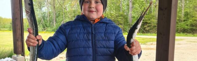 KALAPÄEVAD | Tuulekala toob kalapäevadele kevadise finaali