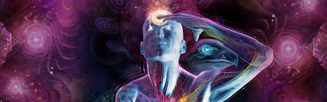 Käbikeha müsteerium – mis rolli see meie kehas mängib?