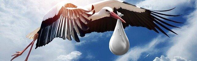 Loe, mida räägib sinu sünnikuu sinu kohta?