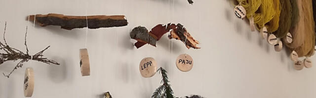 NÄITUS „TAIMEDE VÄRVITUD”