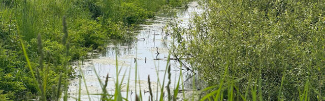 Läti valitsus kuulutas välja põllumajanduse eriolukorra