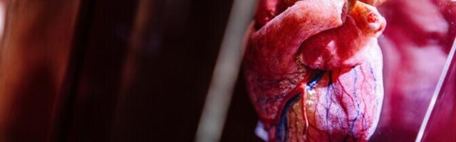 Kardioloog: infost pakatav maailm paneb põntsu unele ja südamele