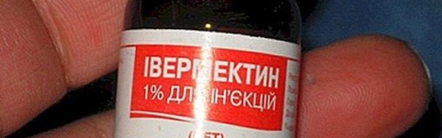 „Ei!“ – ravimiamet isegi ei kaalu vaktsiinivastaste nõuet kasutada ussirohtu koroona vastu