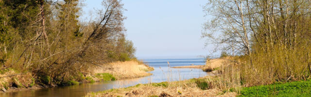 Selgusid enim ja vähim looduse hüvesid pakkuvad Virumaa jõed
