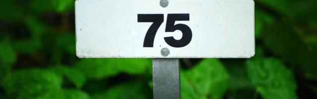 Kasumit 75% kasvatanud tarkvarafirma maksab poole jaotamata kasumist omanikele