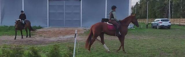 Ukraina sõduritele sauna soetamiseks korraldati korjandus