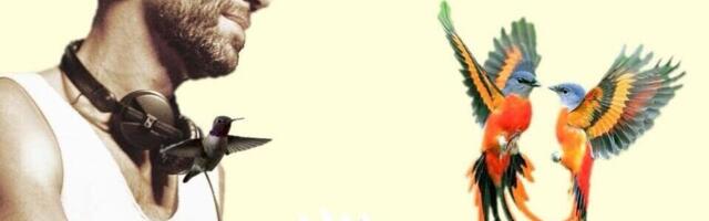 AH, ET PIDU ILMA ALKOHOLITA?