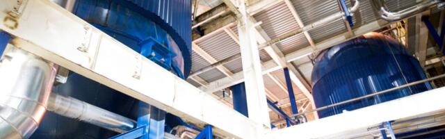 Kaupo Reede: puidusektoris peitub päästerõngas iseendale ja ekspordile