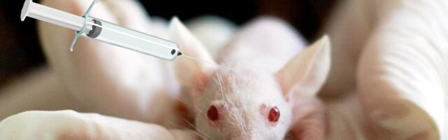 Nüüd, kui pool maailma on süstitud, alustati lõpuks Covid-vaktsiinide loomkatseid…