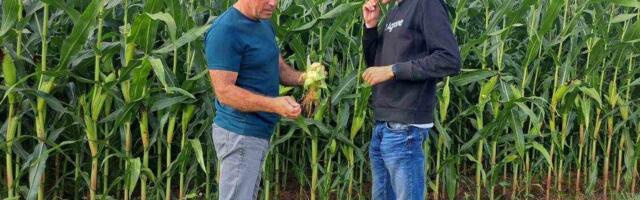 Lõuna-Eestis võib sööda varumisega rahul olla, saartel mitte