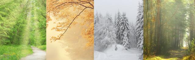 Vali üks teerada ja saa teada, mida sinu sisetunne ja alateadvus sinu iseloomu kohta räägivad