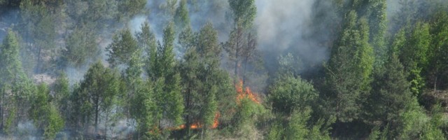 JUHTKIRI Teavitus metsamineku keelust olgu selge ja konkreetne