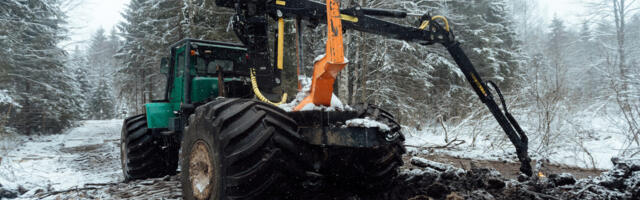 KOLUMN ⟩ Malle Pärn: kliimalapsed ja harvester