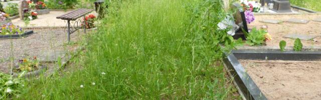 Jõhvi kalmistu – omamoodi südametunnistuse peegel