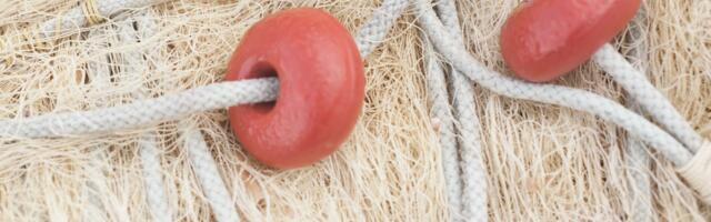 Kalurid saavad digipöördeks rohkem aega