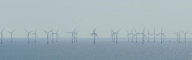 Karol Kallas: tuuleelekter on needus