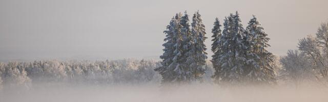 ILMATEADE | Enamikus Eestis valitsevad miinuskraadid