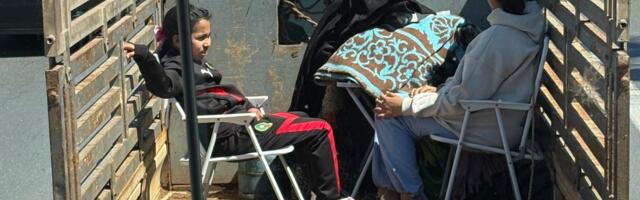 Ja siis see memmeke, pea ees, läbi kaktuste autoteele tormas!