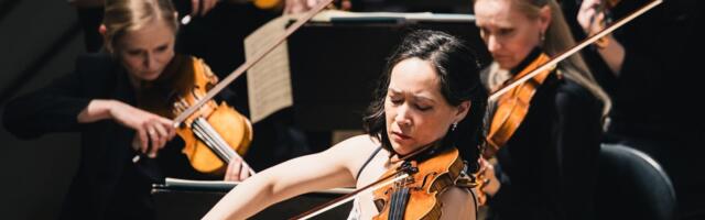 Mõjuvate kõlamassiivide ja filigraansuse kütkeis