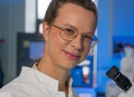 Kunstvereringe kui roboti tehisaru