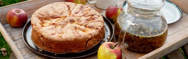 RETSEPTID | Ei tea, mida õuntega peale hakata? Siin on 12 põnevat retsepti