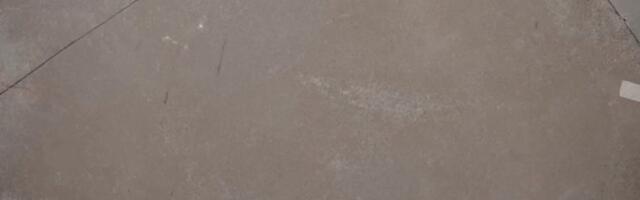 PIHTAS PÕHJAS | Koondis peab enne 2026. aasta suve võtma kõik, mis võtta annab. Möll Željko Obradovici ümber, Partizan üritab ellu jääda