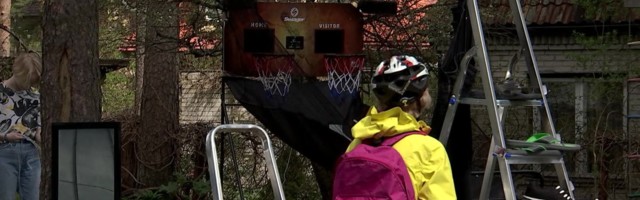 Reporter: Üle 70 hoovi pakkus huvilistele head ja paremat