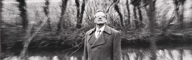 Mastipuu on langenud