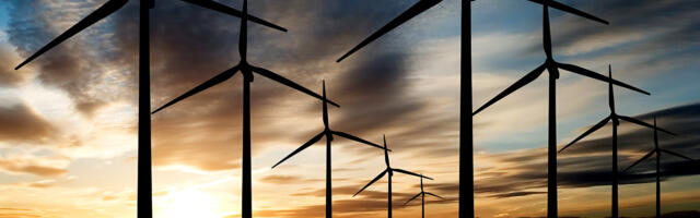 ENERGEETIKA ⟩ Margus Sild: roheenergia viib ettevõtted pankrotti ja jätab meid pimedusse