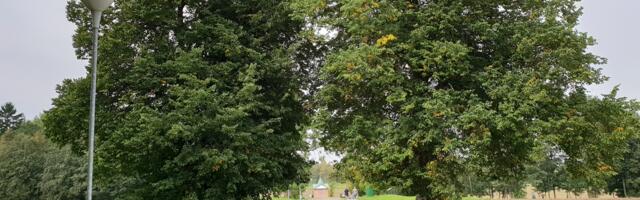 EKÕK ja Pühtitsa klooster ei nõustu usuvabadust piirava seadusega