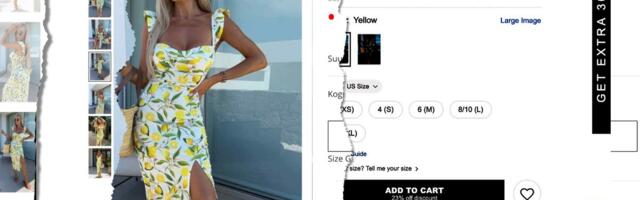 Eesti butiigid müüvad näiliselt sama kaupa, mida Hiina veebipoed. Ettevõtjad ise sellega ei nõustu