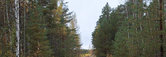 Valitsus alustab Saatse saapa ümbersõidu ehitamist kevadel