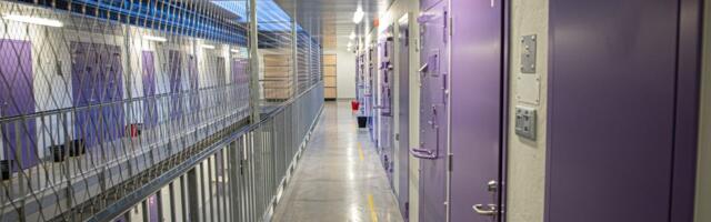 Tallinna vanglas puhkes jälle kaklus